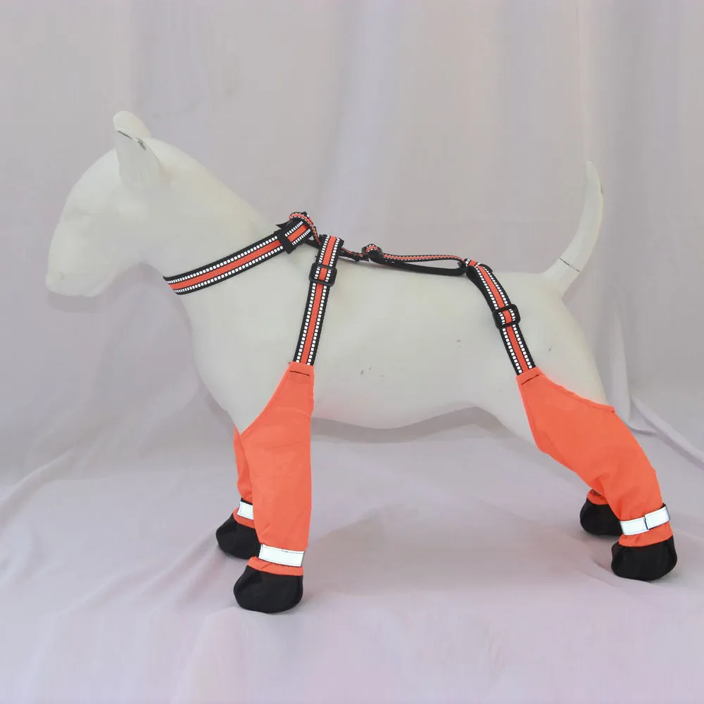 LumiPaws Frenchie Refective Shoes Claw Protector Waterproof
