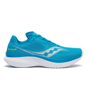 Men's Kinvara 15 (221 - Viziblue/White)