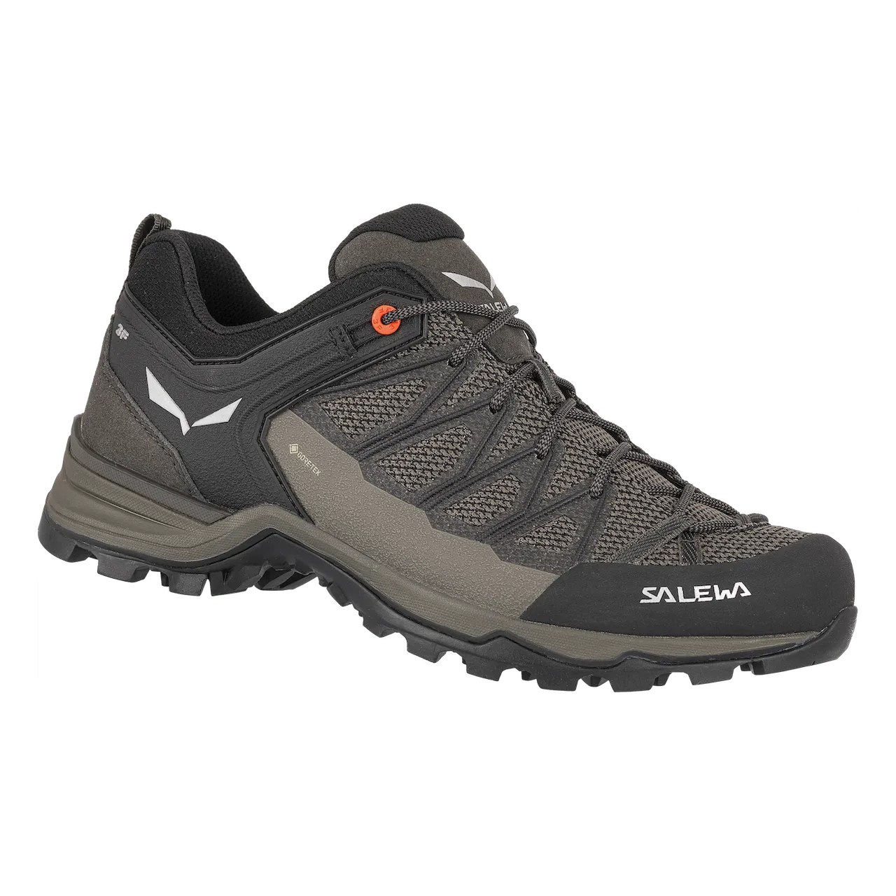 Men's Mountain Trainer Lite GTX Shoe