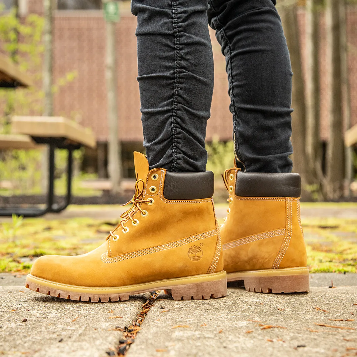 Men's Timberland Icon 6-Inch Premium Waterproof Boots Wheat Nubuck